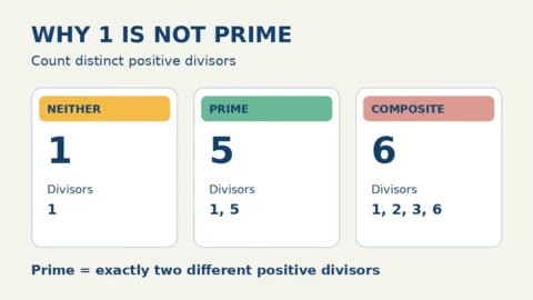 Divisor comparison: 1 has only divisor 1 and is neither prime nor composite; 5 has divisors 1 and 5 and is prime; 6 has divisors 1, 2, 3 and 6 and is composite.