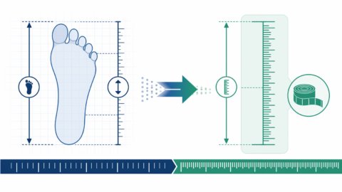 Illustration of a foot-length measurement converting to a metric centimeter scale