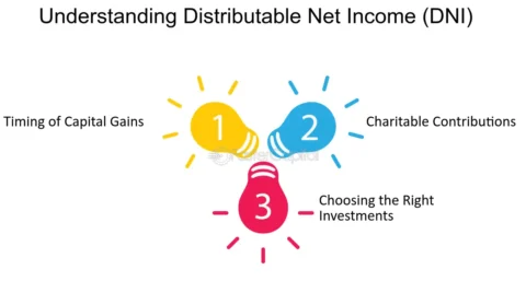 Distributable Net Income: A Comprehensive Guide | HeLovesMath Distributable Net Income