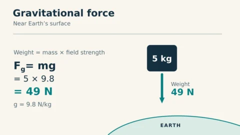 A 5 kg object near Earth has a downward gravitational force of 49 N, using g = 9.8 N/kg and weight = mass × field strength.