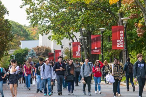 2025 Best Colleges for Math in America | HeLovesMath Discover the top 25 colleges for math in America for 2025. Explore detailed profiles of each institution, including ratings, acceptance rates, tuition costs