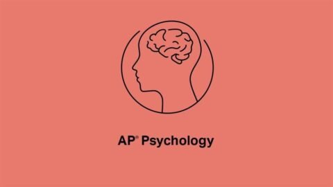 Illustration of human head outline with brain icon and AP Psychology text on coral background representing AP Psychology study material