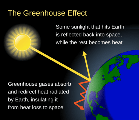 The Effect of the Greenhouse Effect: Causes, Impacts, and Global Warming Explained | HeLovesMath The Effect of the Greenhouse Effect: Causes, Impacts, and Global Warming Explained