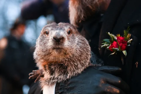 Did the Groundhog See His Shadow?