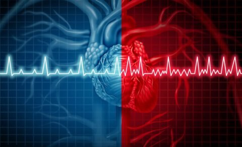 Heart Rhythm Disorders: When the Heart Is “Out of Rhythm” | HeLovesMath Medical illustration of heart with ECG line showing normal and abnormal heart rhythm, representing arrhythmia or heart rhythm disorders