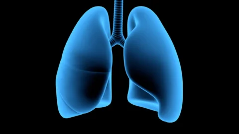 Mesothelioma | Everything you need to know. | HeLovesMath Medical illustration of human lungs in blue on black background, highlighting mesothelioma lung cancer concept.