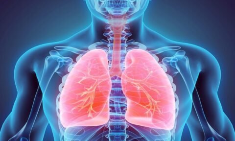 Respiratory Embolism (Pulmonary Embolism) | HeLovesMath Medical illustration of human lungs and upper body highlighting pulmonary embolism (respiratory embolism) showing blood clot location