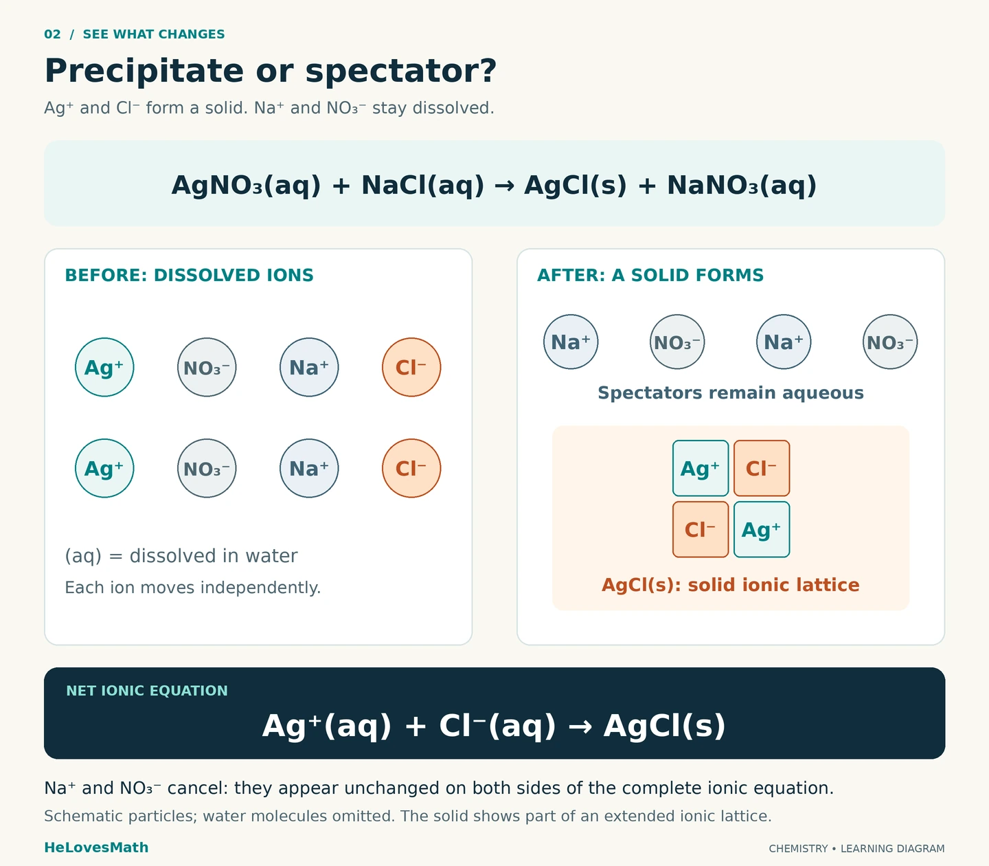 Dissolved Ag⁺ and Cl⁻ ions form a solid AgCl ionic lattice. Na⁺ and NO₃⁻ remain aqueous as spectator ions. The molecular equation is AgNO₃(aq) + NaCl(aq) → AgCl(s) + NaNO₃(aq); the net ionic equation is Ag⁺(aq) + Cl⁻(aq) → AgCl(s). Water molecules are omitted.