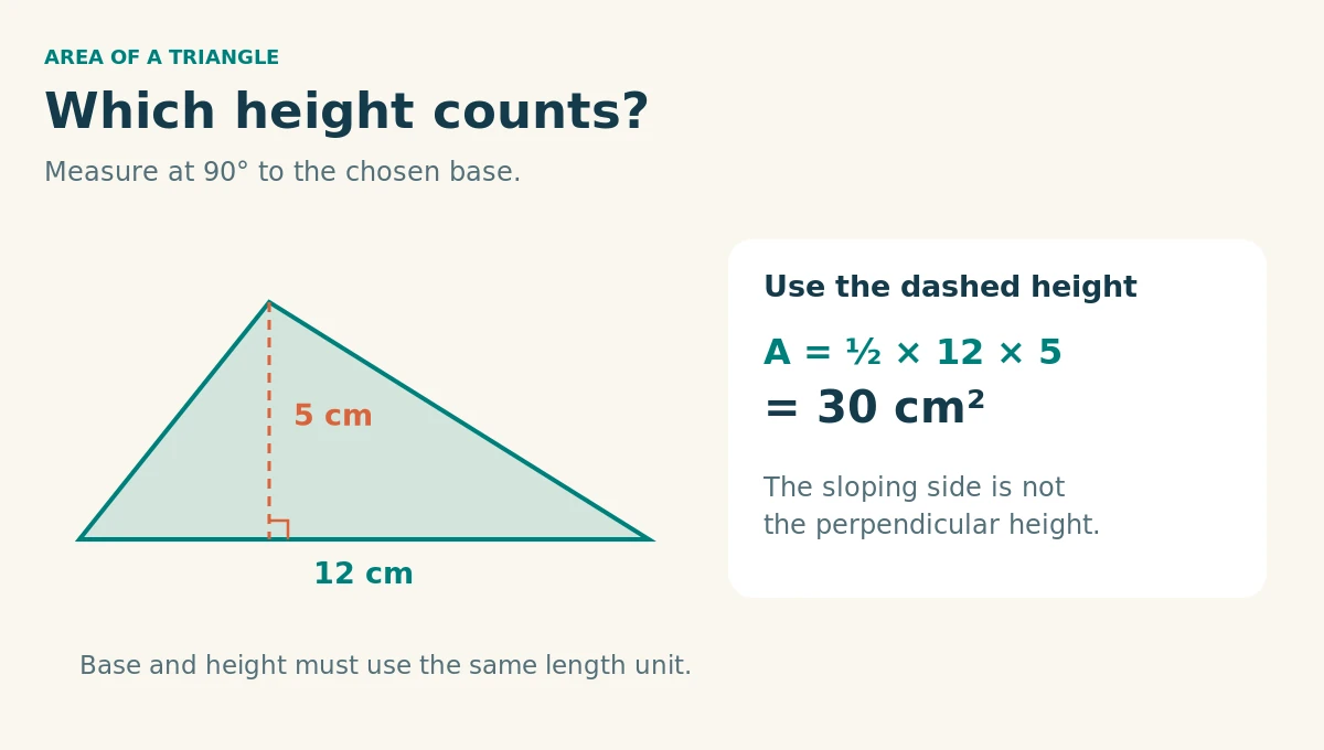 Triangle with base 12 cm and perpendicular height 5 cm. A dashed altitude meets the base at a marked right angle. Area is one half times 12 times 5, or 30 cm².